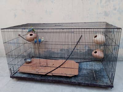 cage for sale