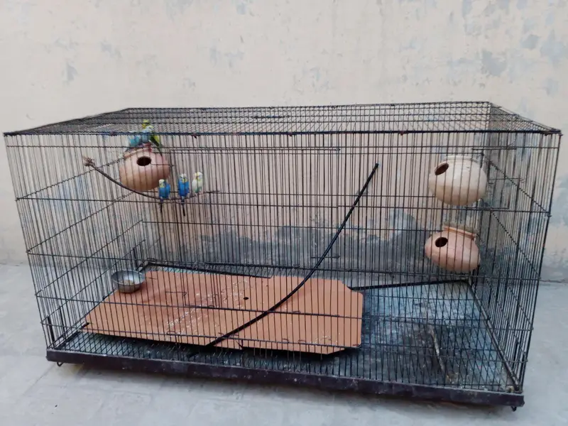 Foldable cage for sale