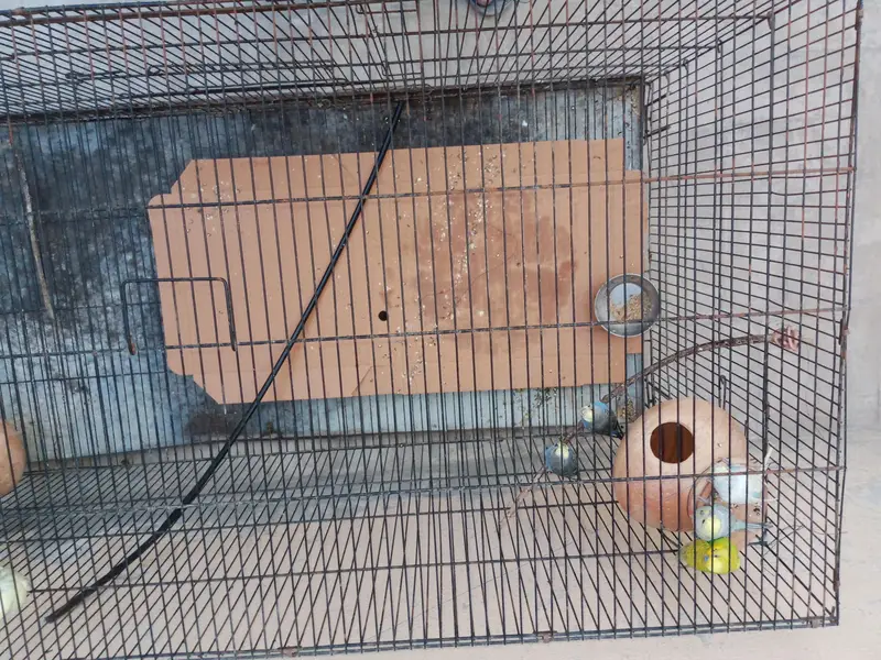 Foldable cage for sale — photo 2
