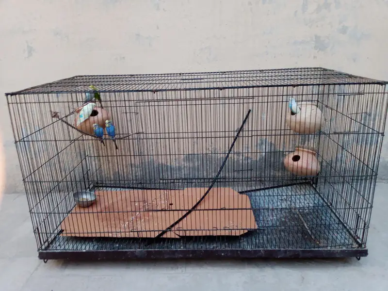 Foldable cage for sale — photo 3