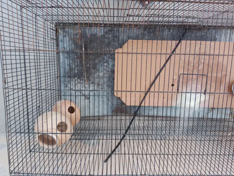 Foldable cage for sale — photo 4