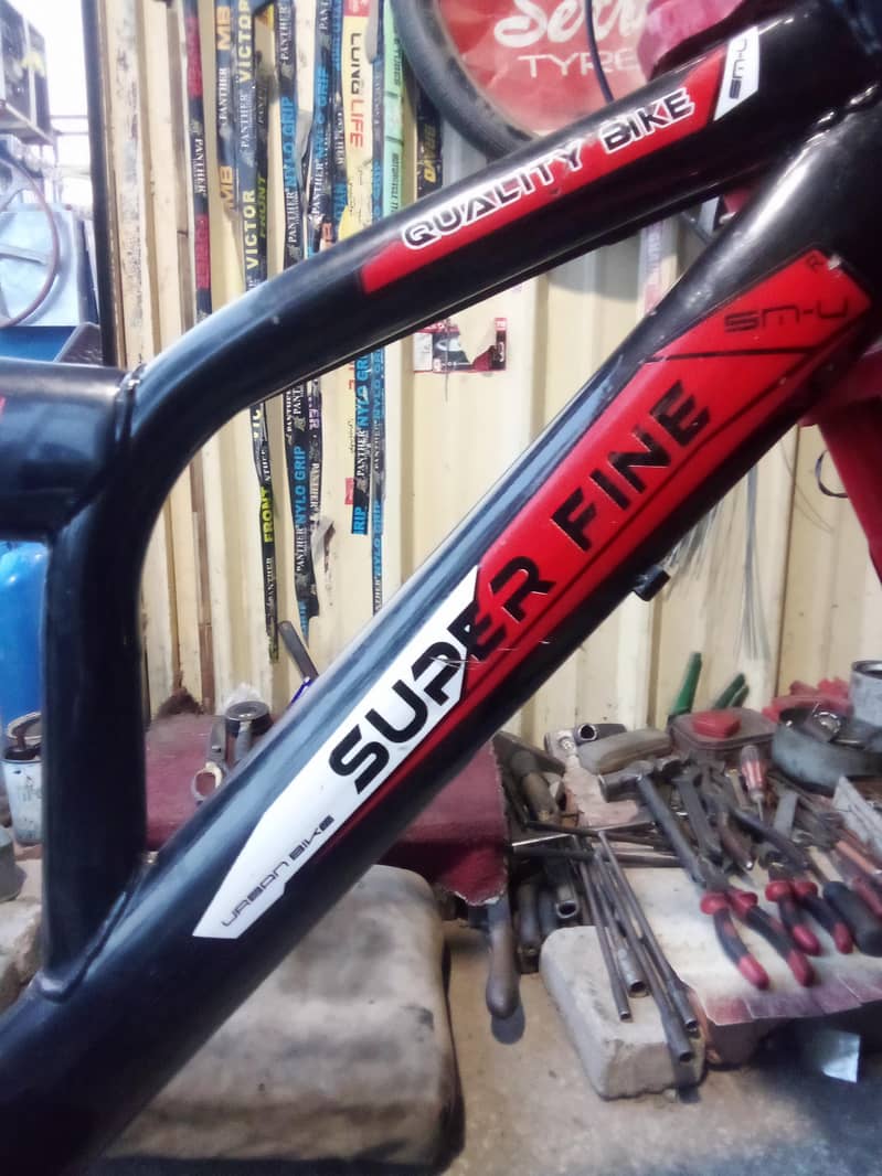 Mountain Bicycle 2