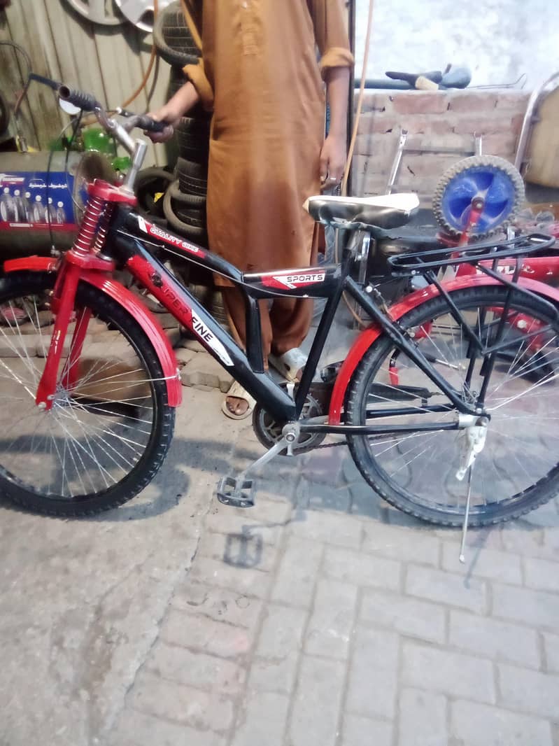 Mountain Bicycle 5