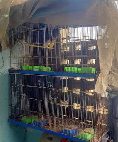 8 Portion Folding Cage