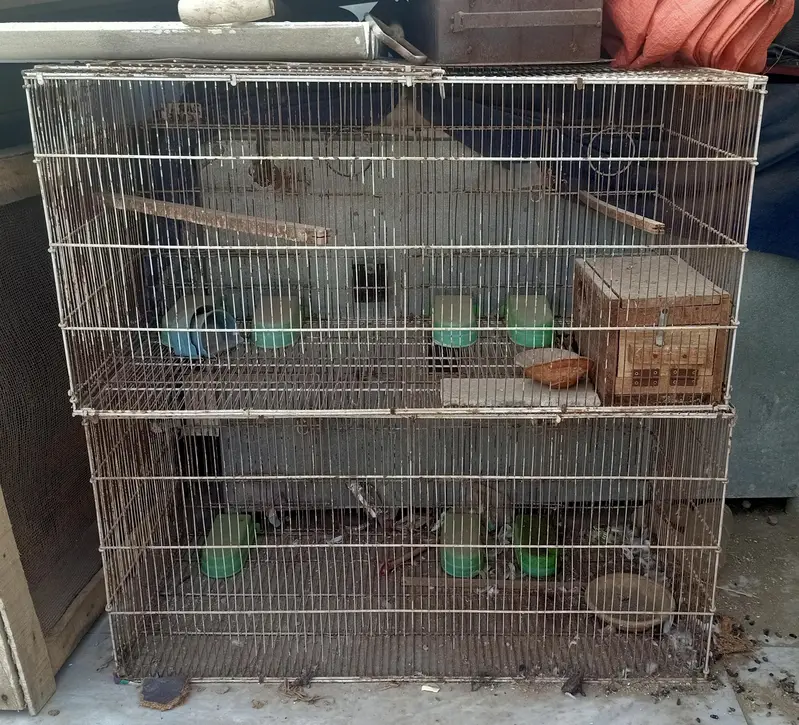 8 Portion Folding Cage — photo 2