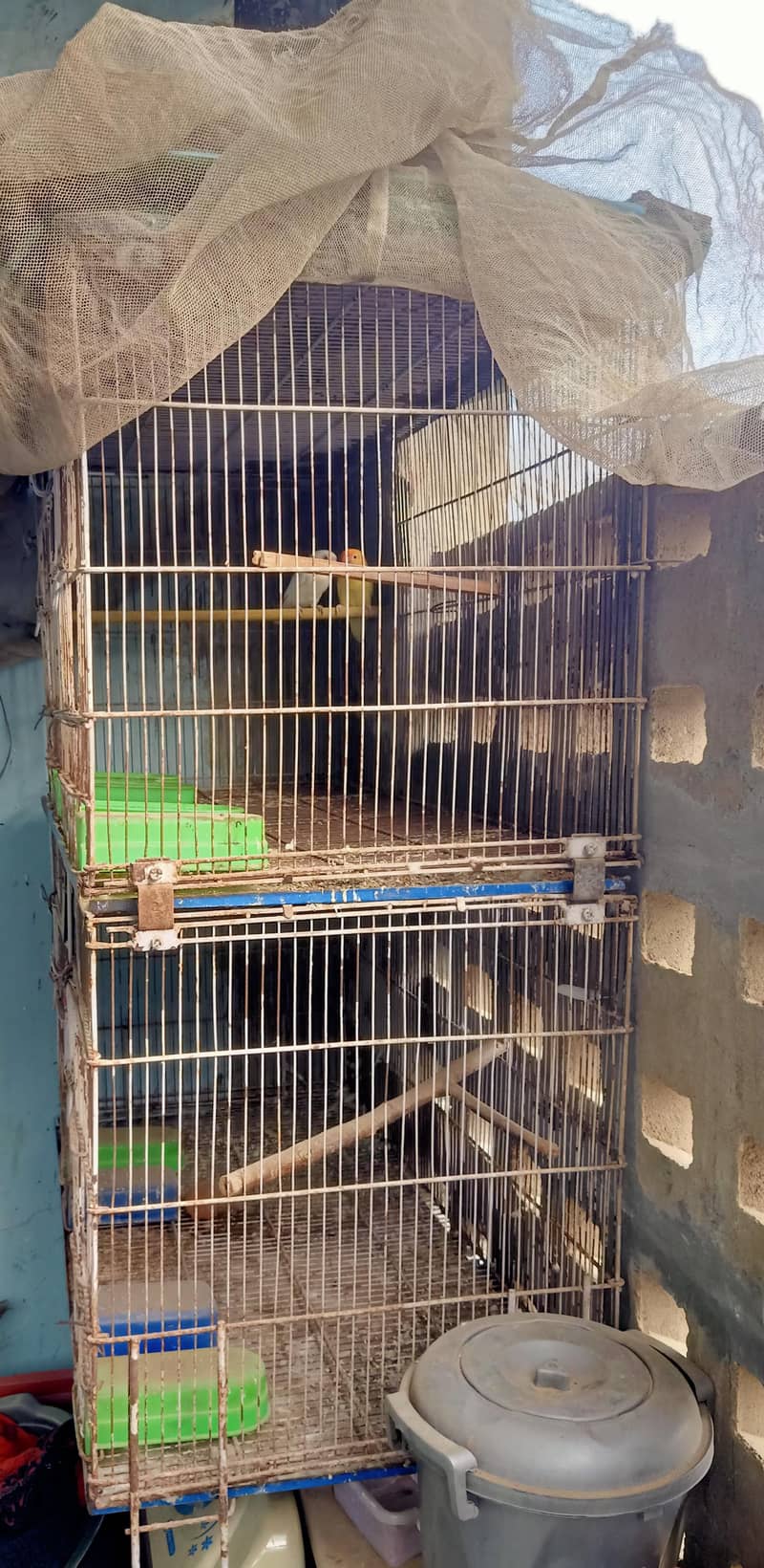 8 Portion Folding Cage 2