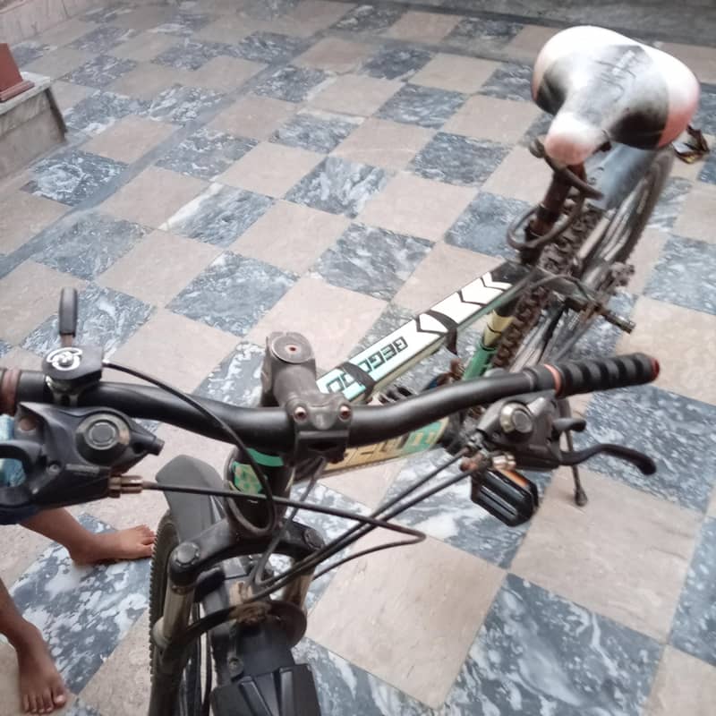Be Good bycycle 2