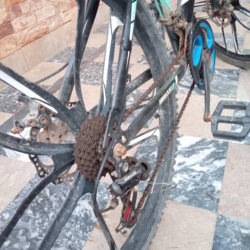 Be Good bycycle 3