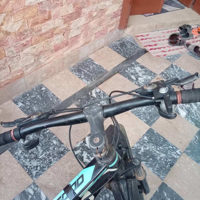Be Good bycycle 4