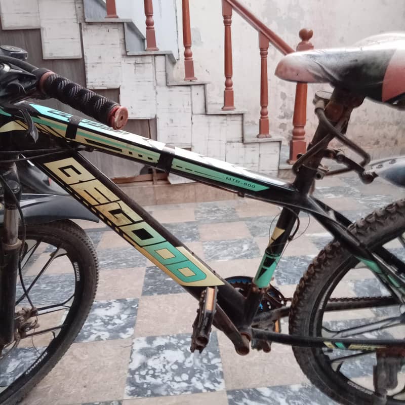 Be Good bycycle 6