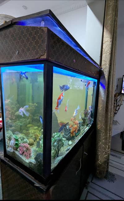 Fish equarium for sale without fish