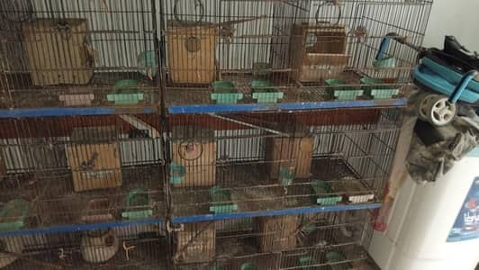 Used cages