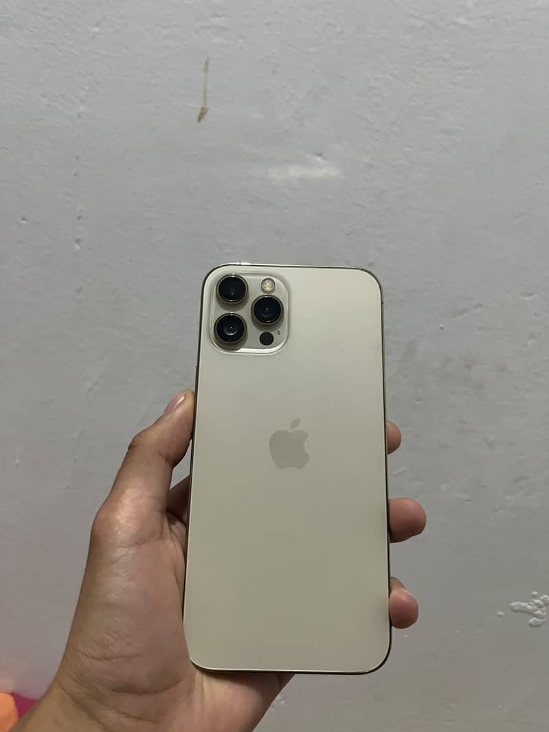 Apple iPhone 12 Pro Max 0