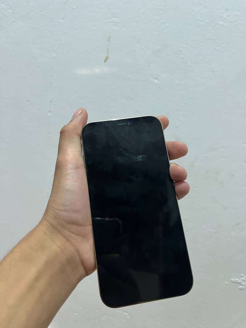 Apple iPhone 12 Pro Max 1