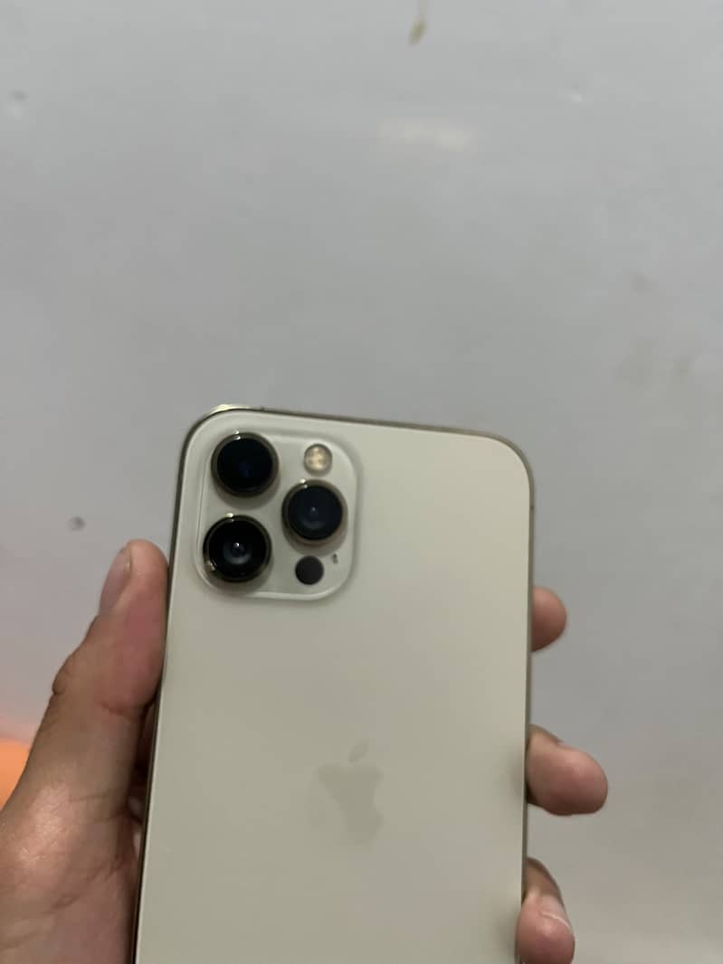 Apple iPhone 12 Pro Max 2