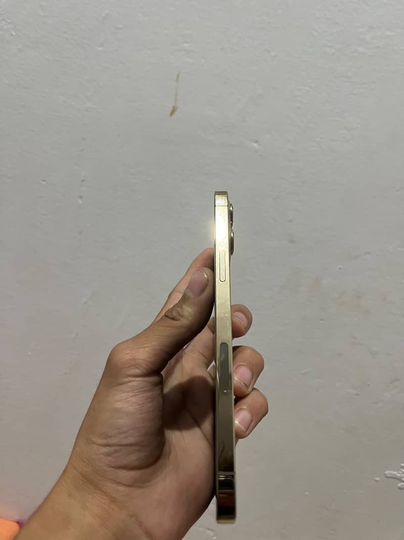 Apple iPhone 12 Pro Max 4