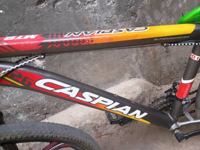 imported bicycles