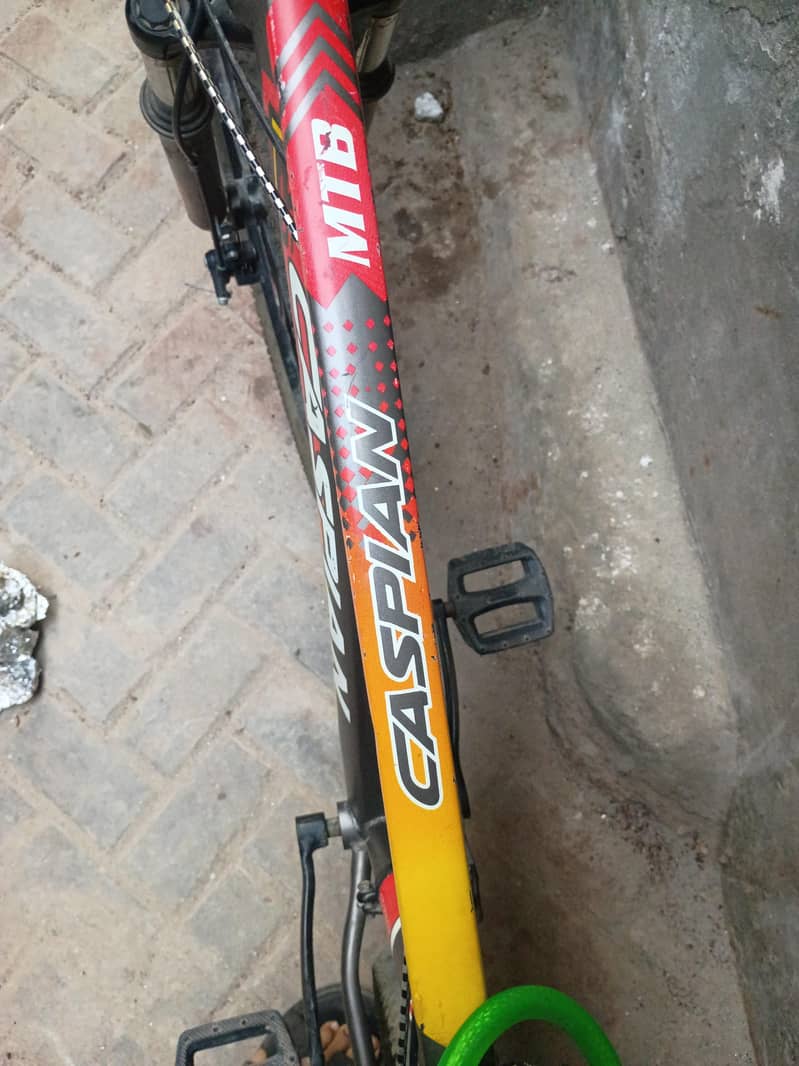 imported bicycles 1
