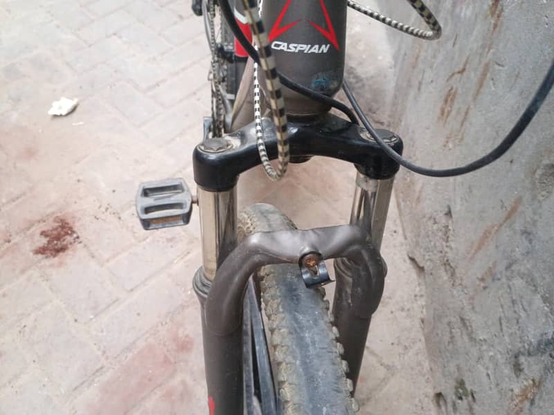 imported bicycles 2