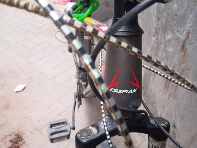 imported bicycles 3