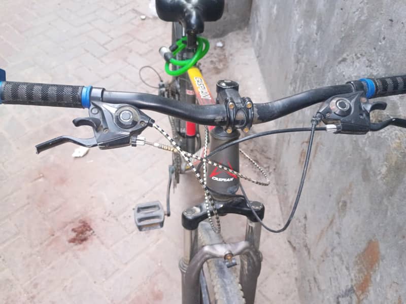 imported bicycles 4