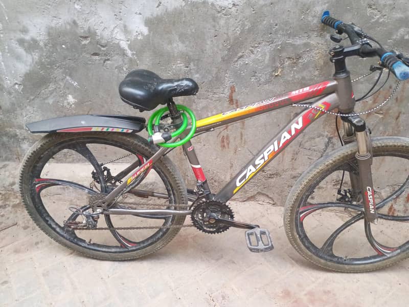 imported bicycles 5