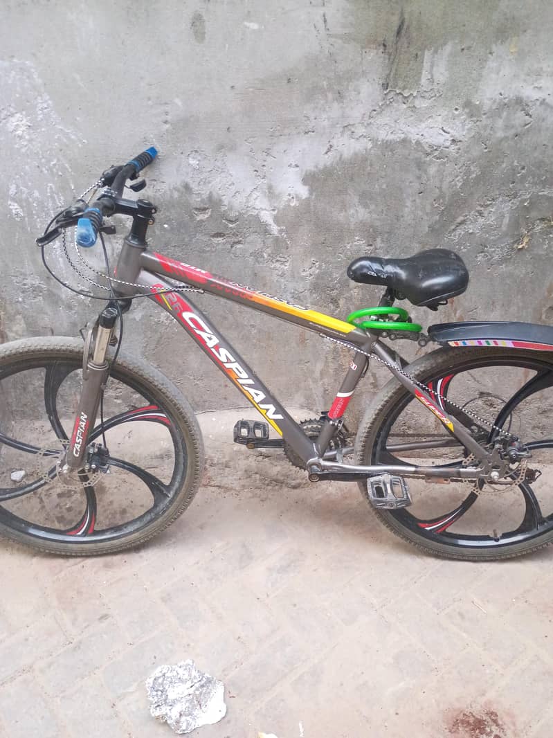 imported bicycles 6