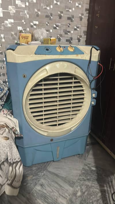 12 Volt Cooler