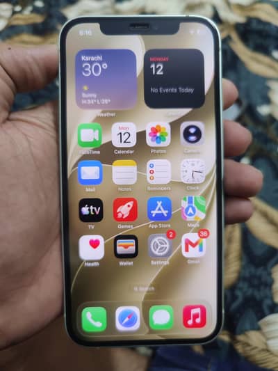 Apple iPhone 12