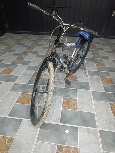 phoenix mountain gear cycle in wholesale