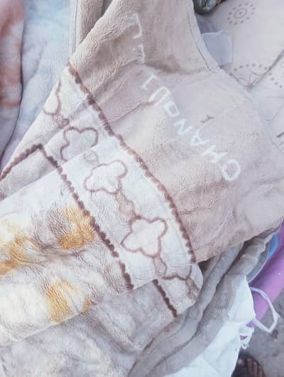 blanket