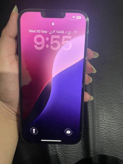 Apple iPhone 13 Pro Max