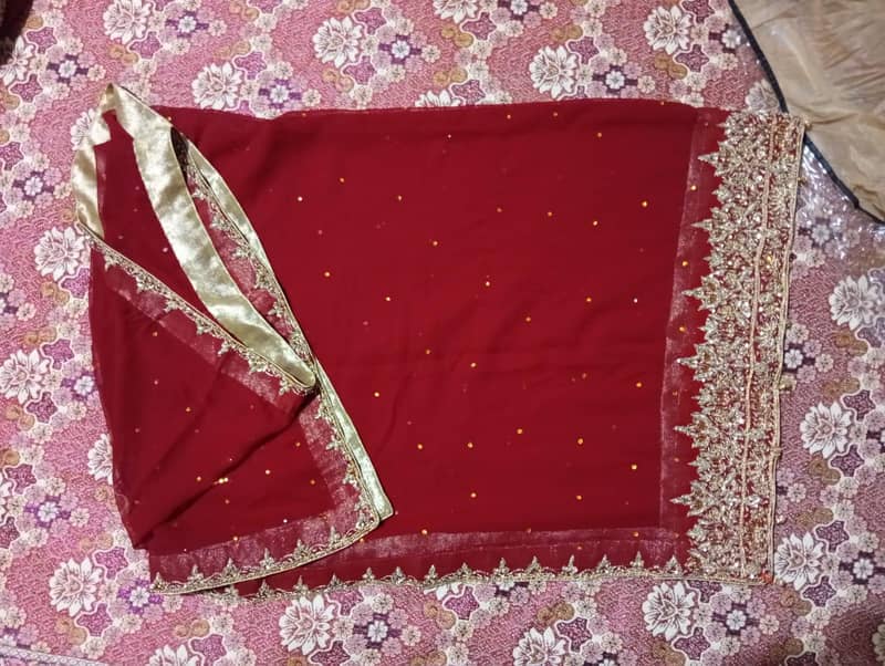 lehenga 4