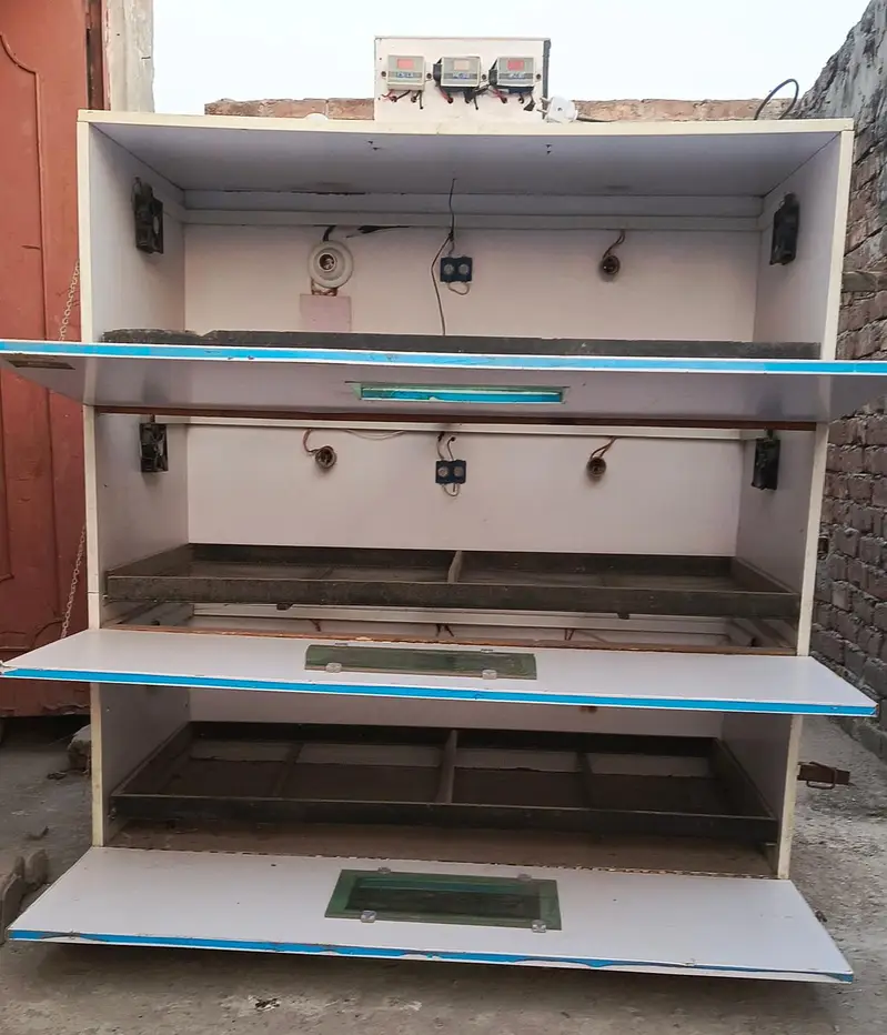 brooder — photo 2