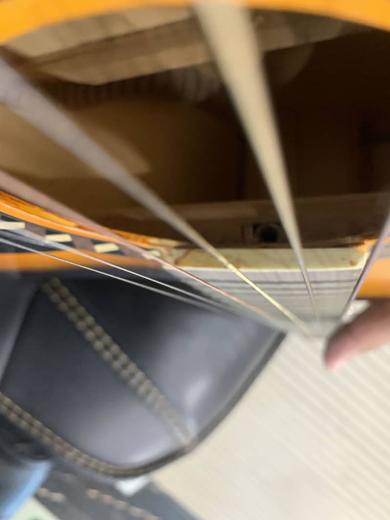Focus guitar 6