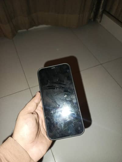 Apple iPhone 12 Pro Max