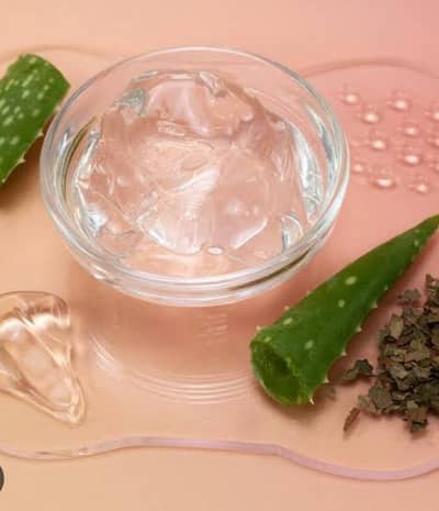 aloe vera