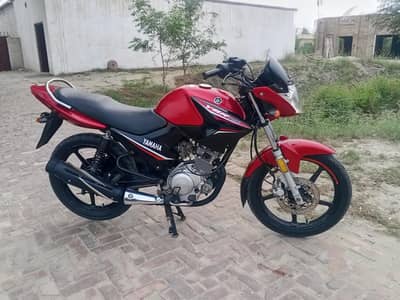 Yamaha ybr 21/22 model (03236350950)