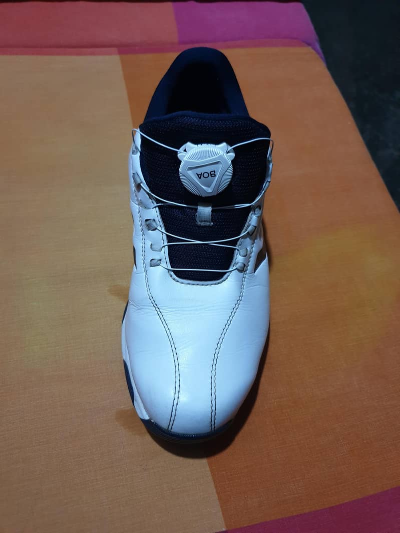 Golf shoes 1