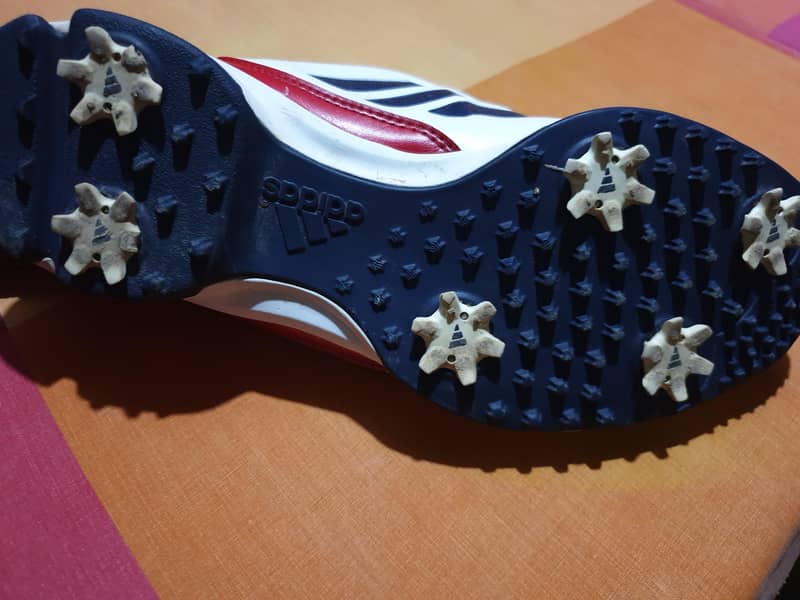 Golf shoes 3
