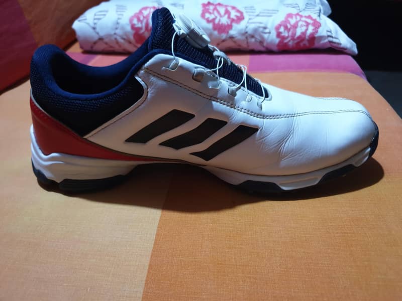 Golf shoes 4