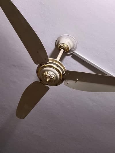 6 fans