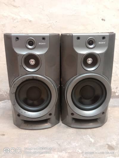 Sony speaker pair