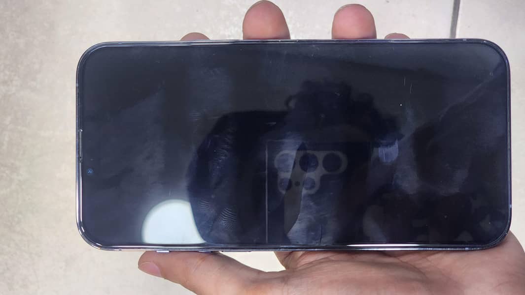 Apple iPhone 13 Pro Max 1