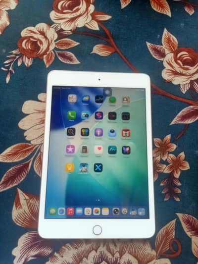 iPad mini 5