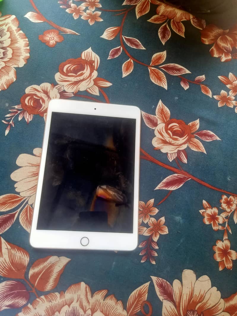 iPad mini 5 1