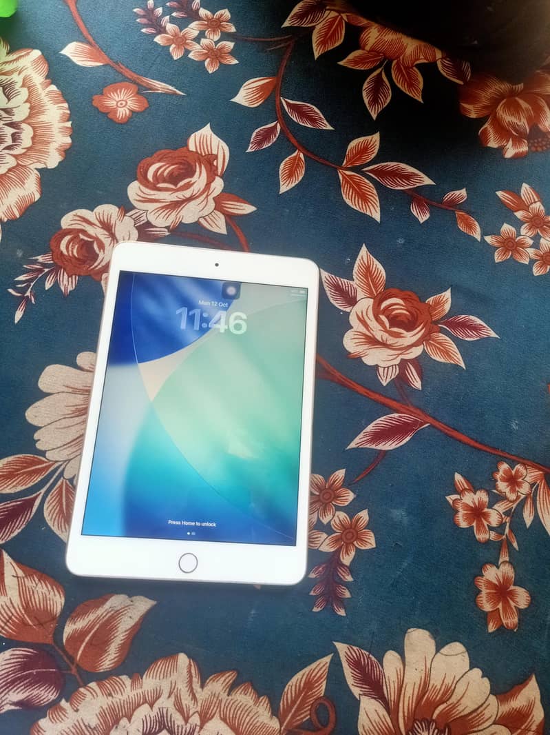 iPad mini 5 2
