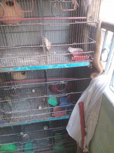 Master cage with Heavy metal