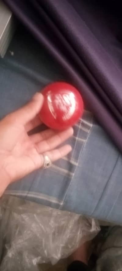 cricket kitt