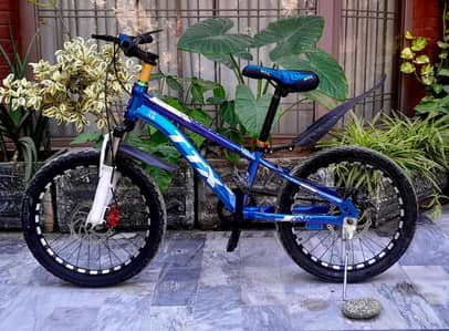 kids  bicycle
